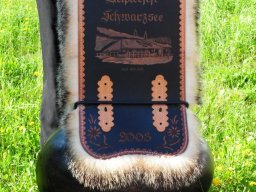Treichel Schwarzsee